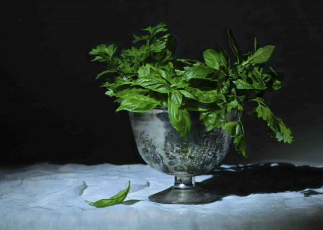 parsley and basil in silver challace, Le persil et le basilic au défi argenté