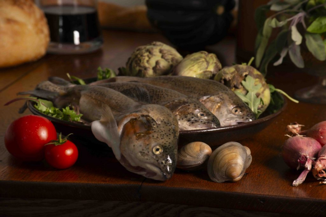 Rainbow Trout with tomatoes, clams, artichokes, shallots, Truite aux tomates, palourdes, artichauts et échalotes