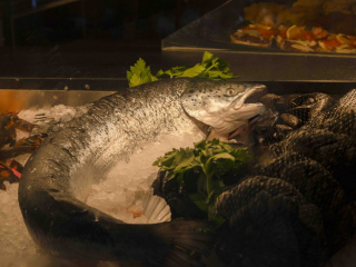 mackerel fish, shop, Venice Italy, maquereau, poisson, boutique, Venise Italie