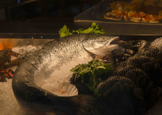 mackerel fish, shop, Venice Italy, maquereau, poisson, boutique, Venise Italie