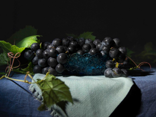 Dark purple grapes with vines in blue dish and green napkin, Raisins violets fonc&eacute;s avec vignes dans un plat bleu et serviette verte