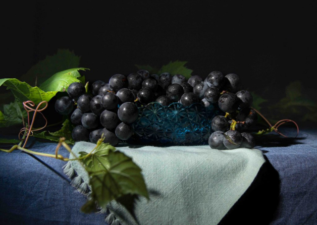 Dark purple grapes with vines in blue dish and green napkin, Raisins violets foncés avec vignes dans un plat bleu et serviette verte