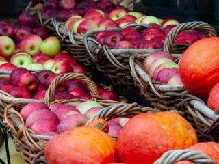 Apples and squash in baskets in the fall, Pommes et courges dans des paniers &agrave; l'automne