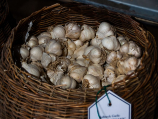 garlic for sale in basket, ail &agrave; vendre en panier