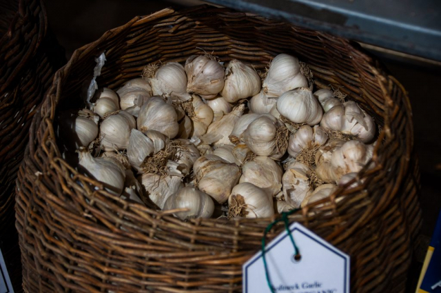 garlic for sale in basket, ail à vendre en panier