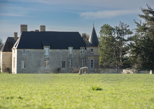 Normandy Farm, France