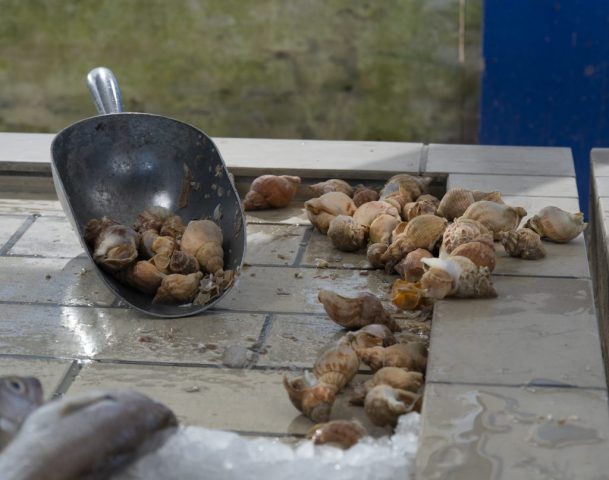 Grandcamp-Maisy Fishmarket, France