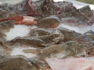 Fish market Grandcamp-Maisy, France