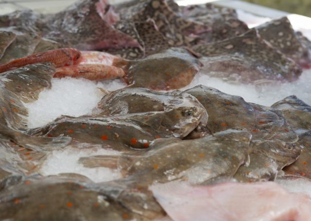 Fish market Grandcamp-Maisy, France